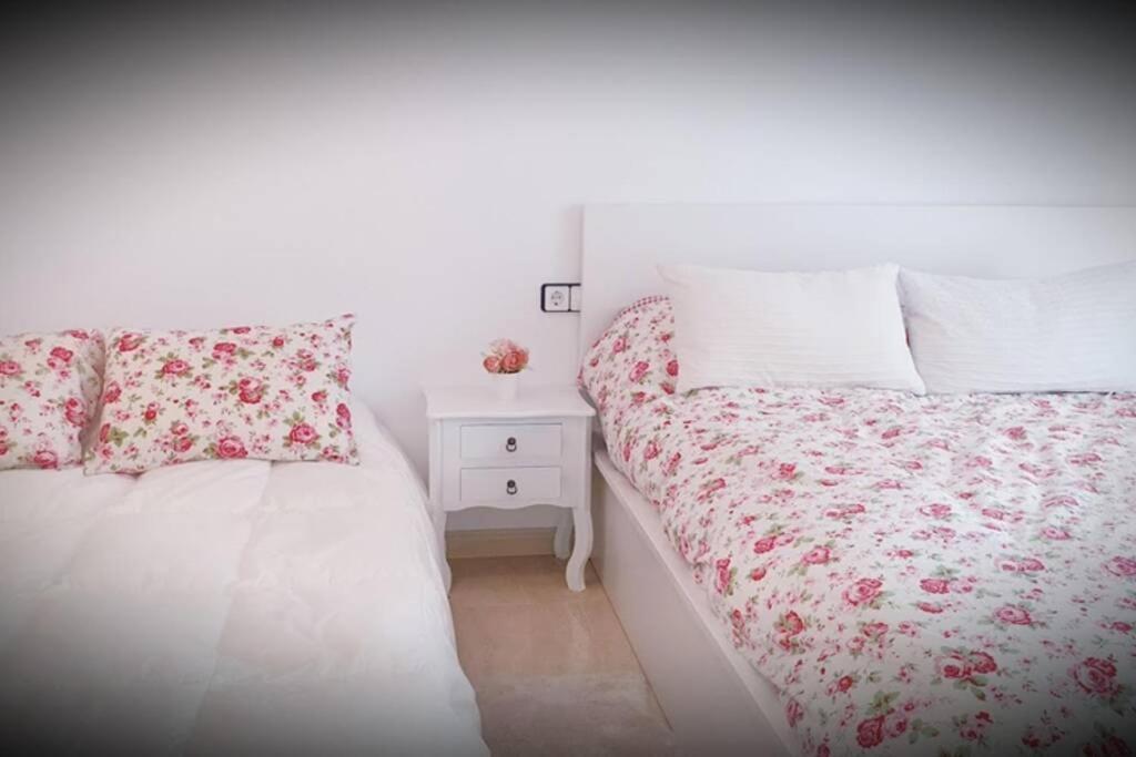 Apartamento Pepa. En El Corazon Del Delta. Sant Jaume d'Enveja Extérieur photo